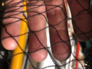 Bird & Butterfly netting